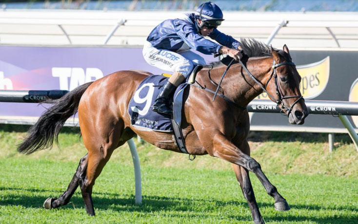 Home Kennewell Racing